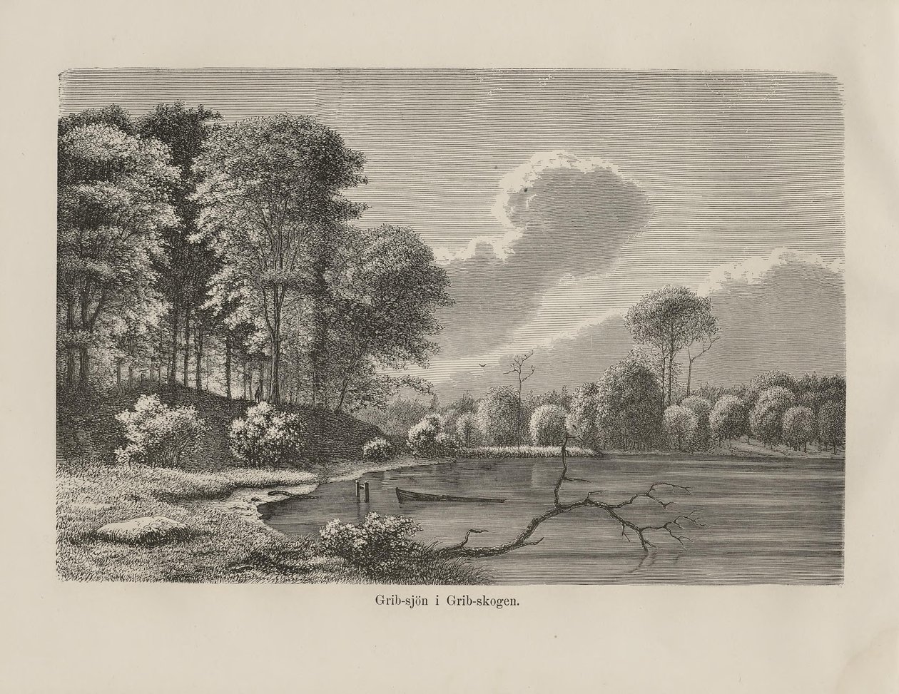 Illustration aus dem Buch Nordiska taflor von unbekanntem Autor und herausgegeben von Unknown