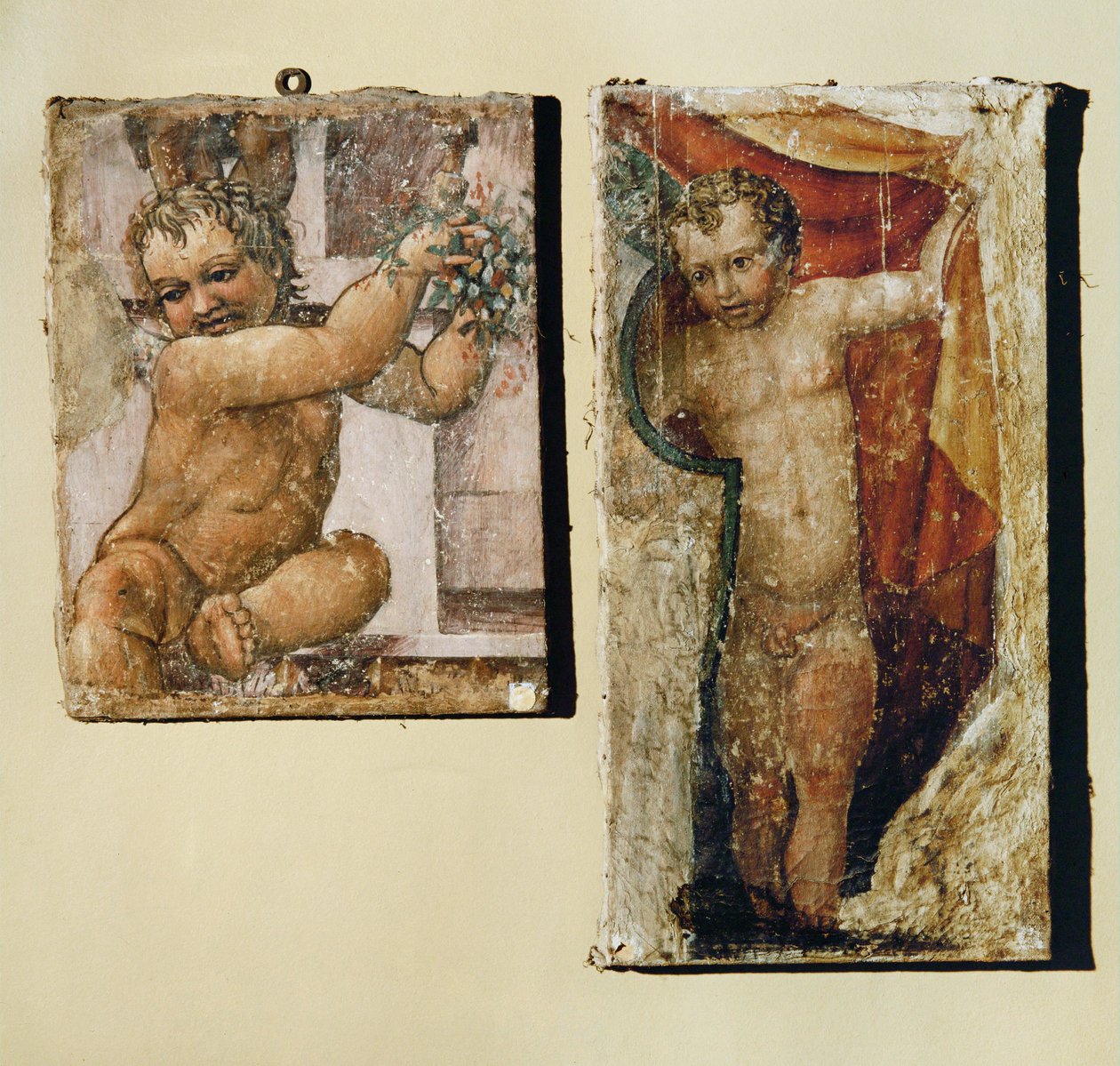 Putto mit Blumen, Putto mit einem Vorhang von (1509-66) Daniele da Volterra