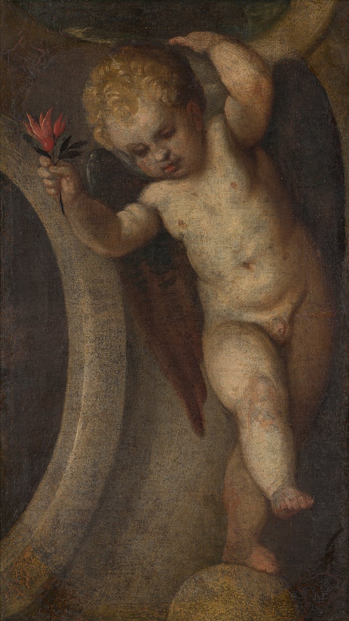 Putto mit einer roten Blume, ca. 1548-88 von Veronese