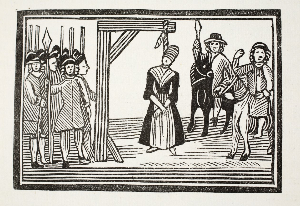 Das ganze Leben und die Abenteuer von Miss Davis, allgemein bekannt als Die Schönheit in Verkleidung, Illustration aus 