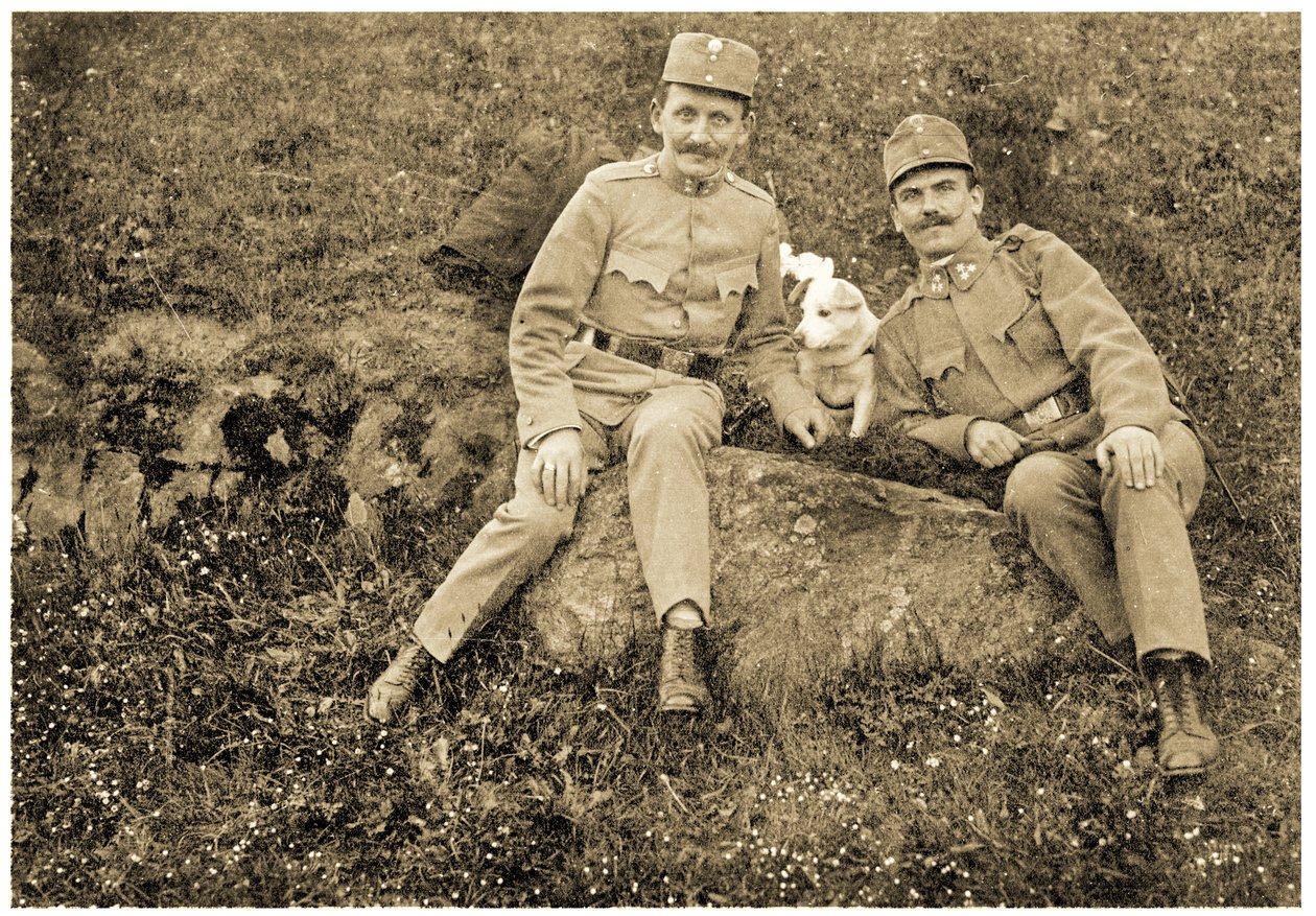 Österreichische Soldaten mit einem Hund, 1914-18 von Unknown