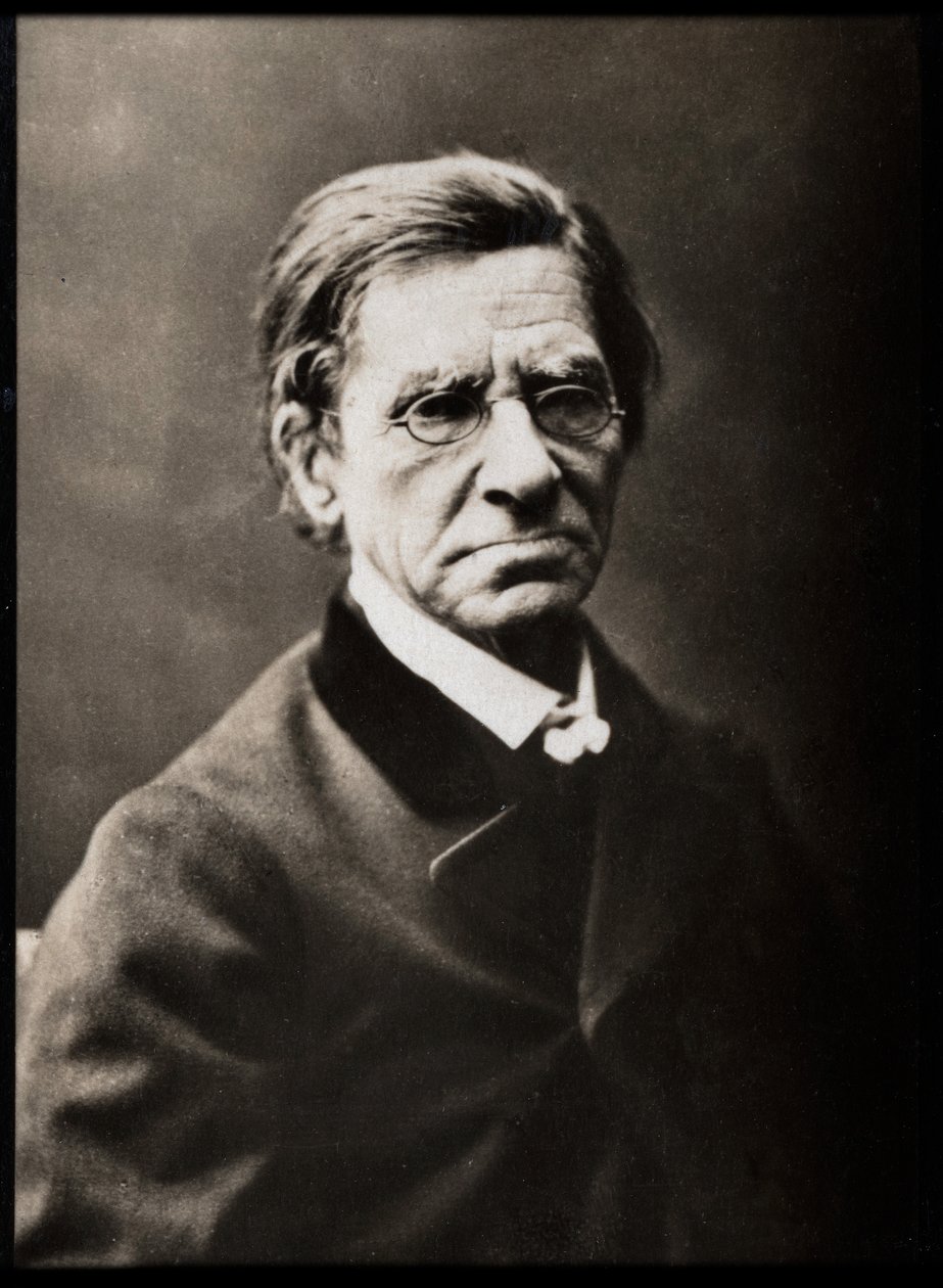 Porträt von Émile Littré (1801-1881), französischer Lexikograph und Philosoph von French Photographer