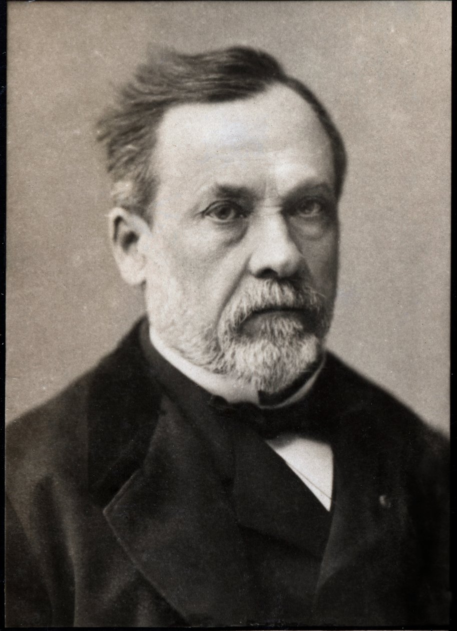 Porträt von Louis Pasteur (1822-1895), französischer Chemiker und Mikrobiologe von French Photographer