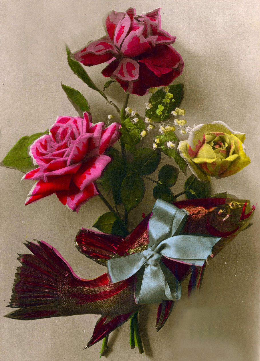 Rosen und ein verpackter Fisch, ca. 1898 von French School