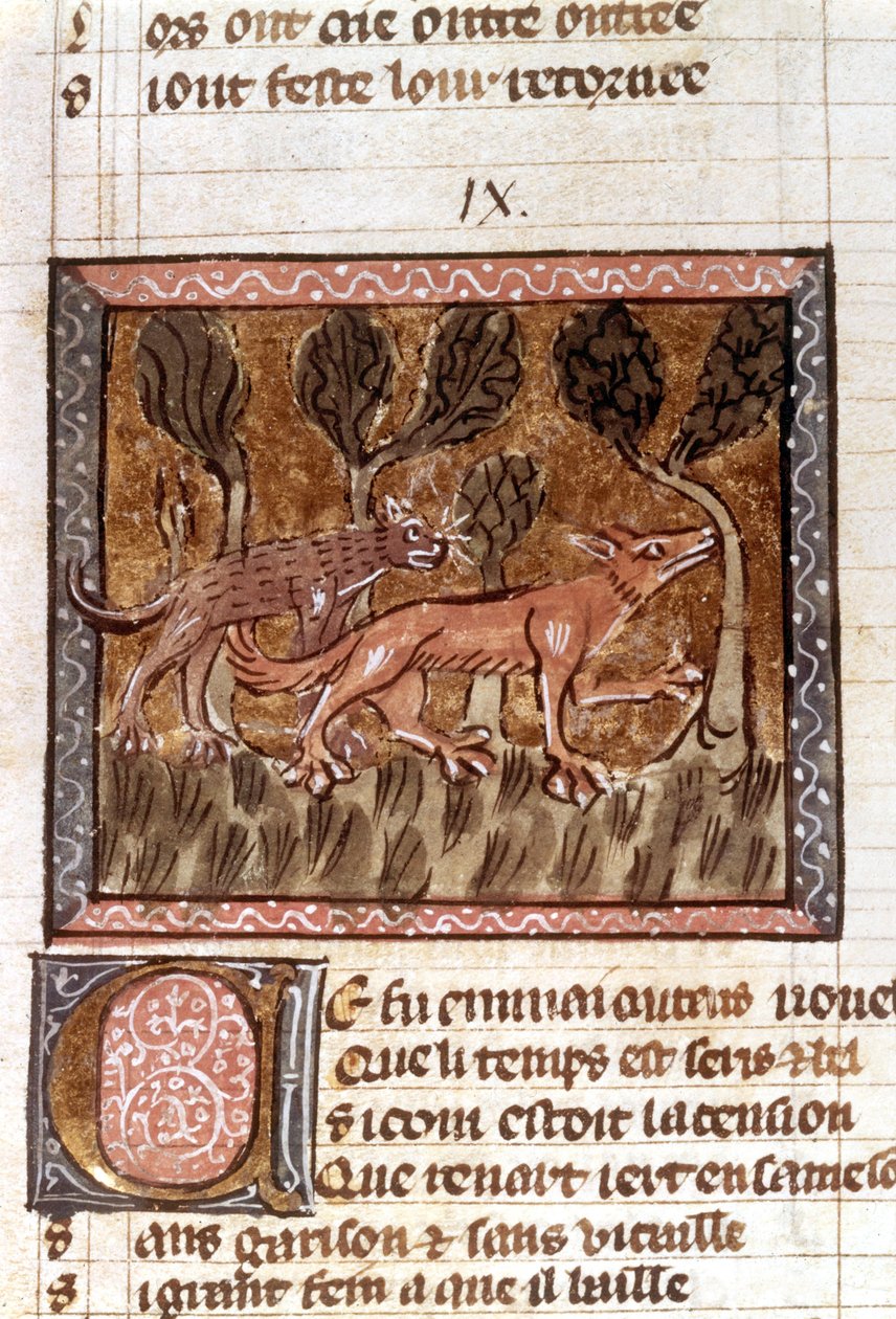 Der Fuchs und der Wolf, Illustration aus dem Manuskript Roman de Renart, 13. Jahrhundert von French School