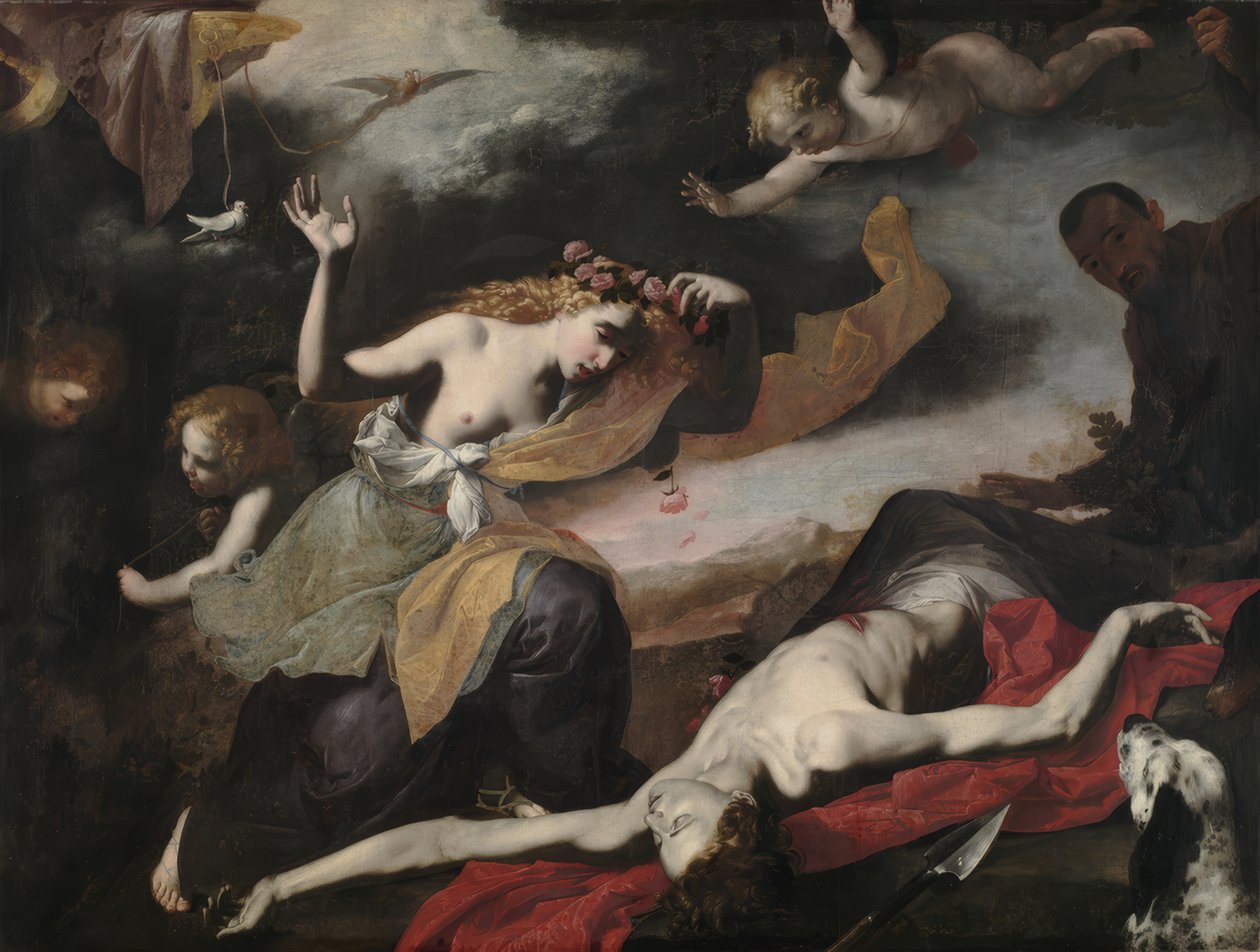 Venus findet den toten Adonis von Löscher and Petsch