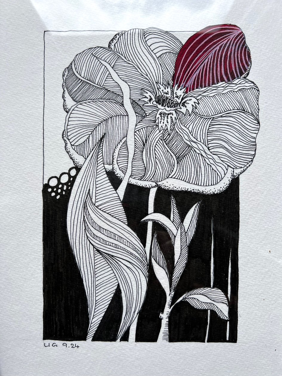 Blüte von Urs Grünenfelder