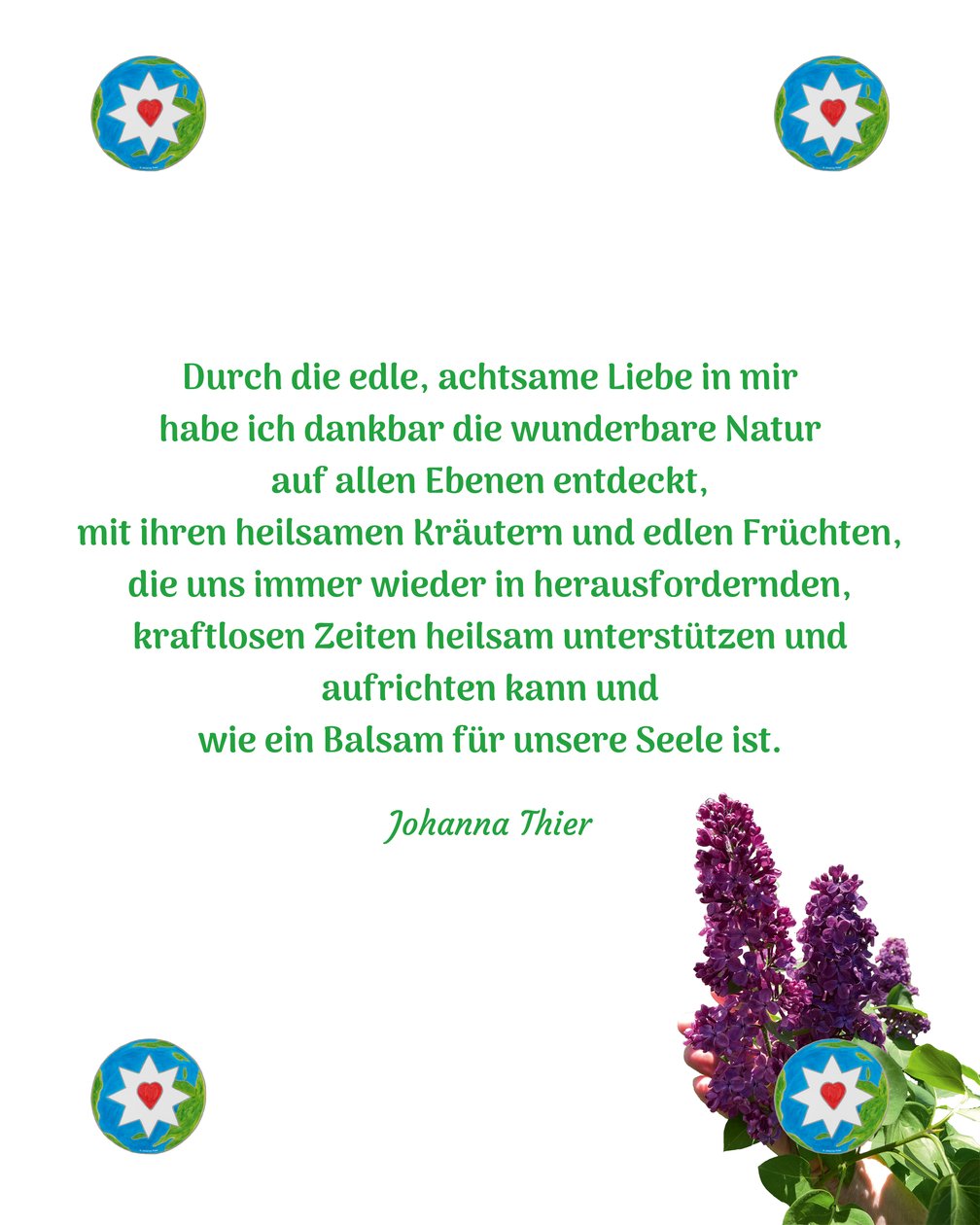 Balsam für die Seele von Johanna Thier