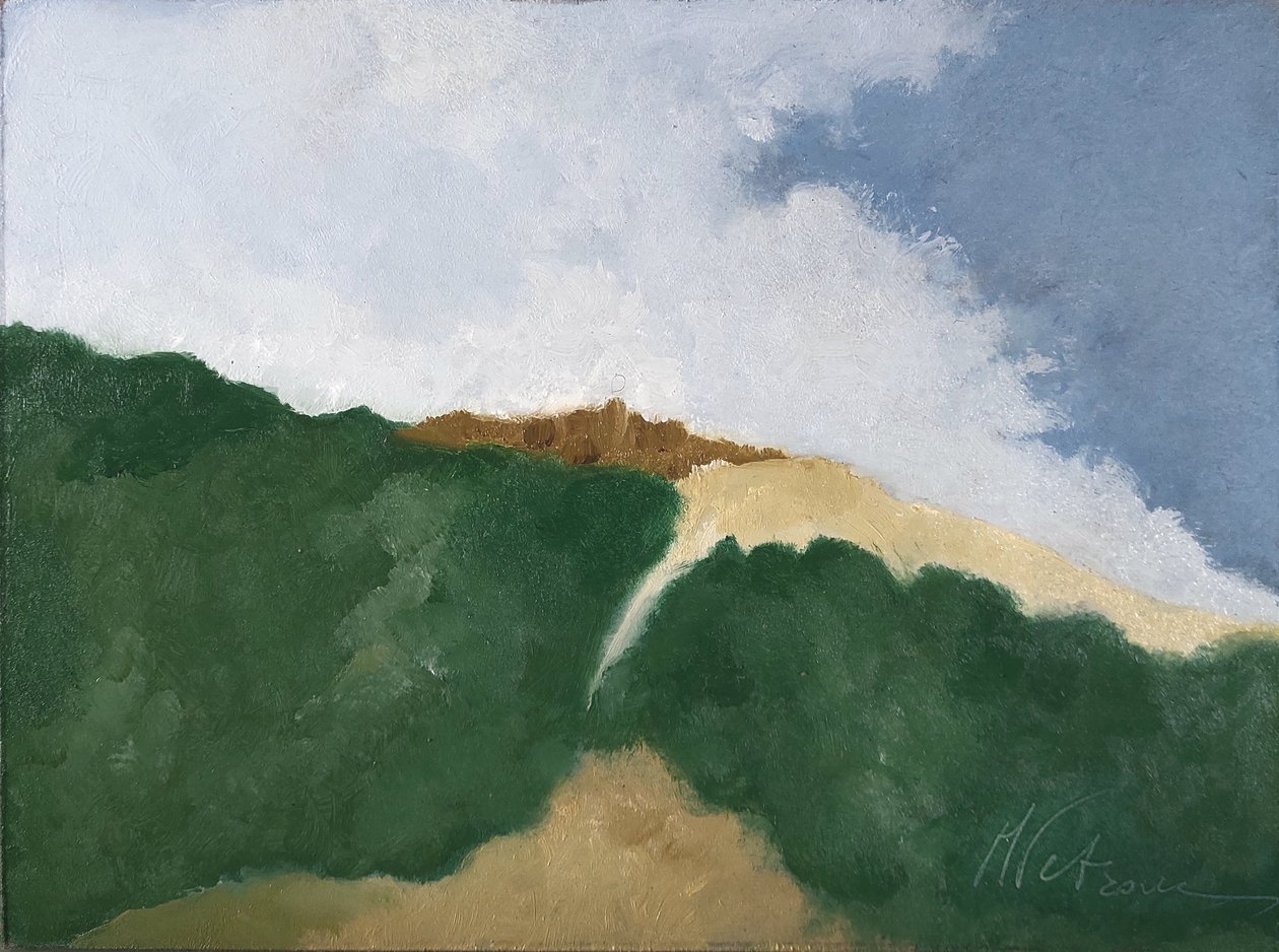 Collina verde von M. Vet