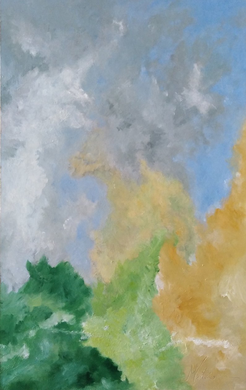 Studio Hecke und Wolken von M. Vet