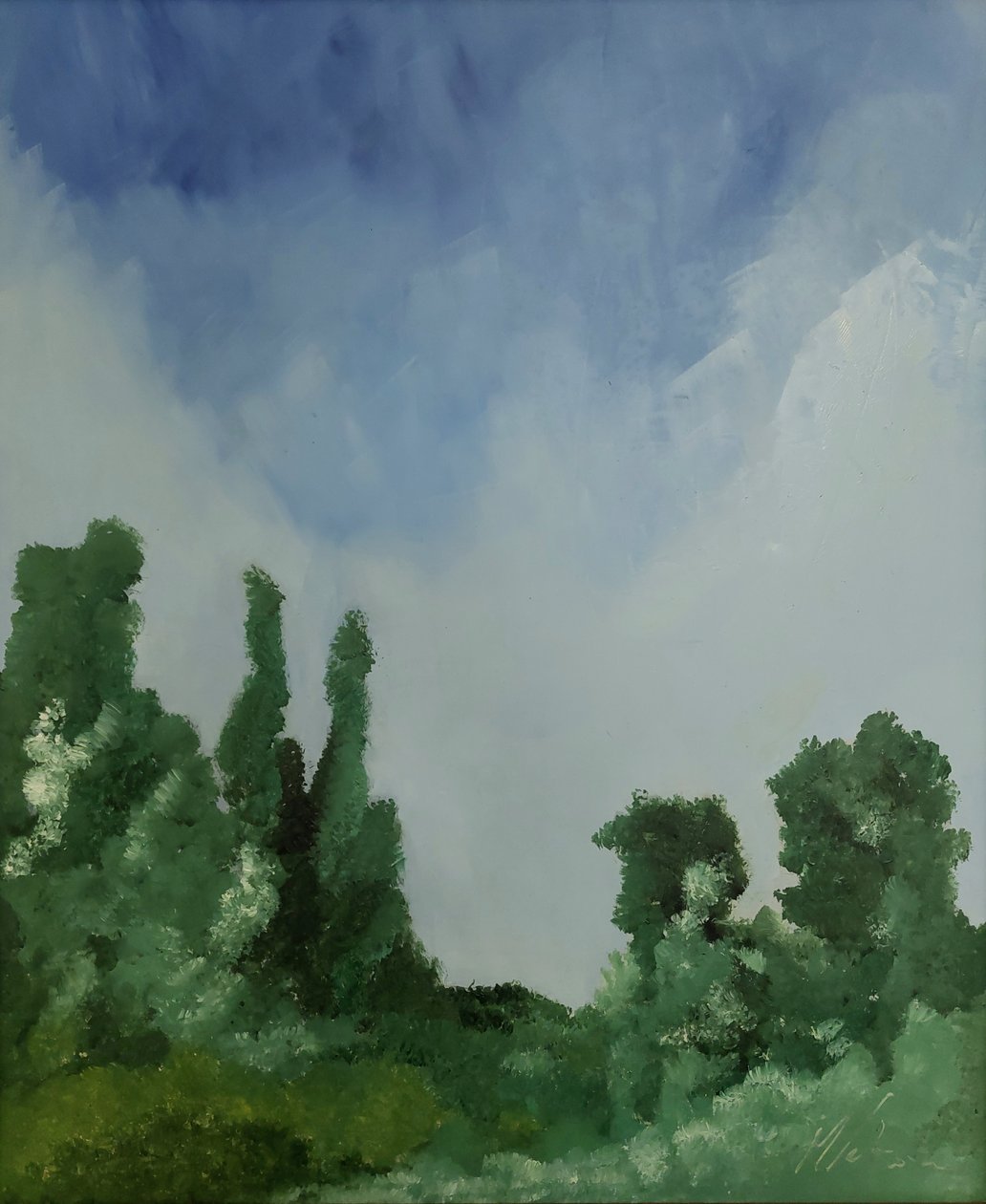 Nuvole sul bosco  von M. Vet