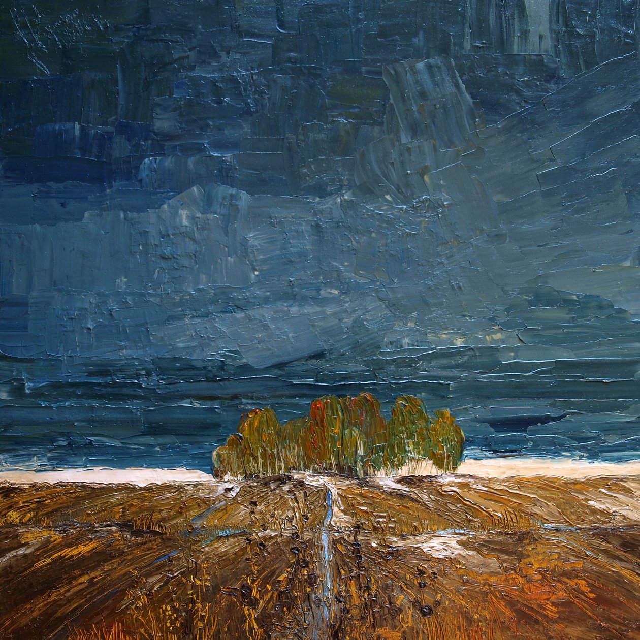 November von justyna kopania