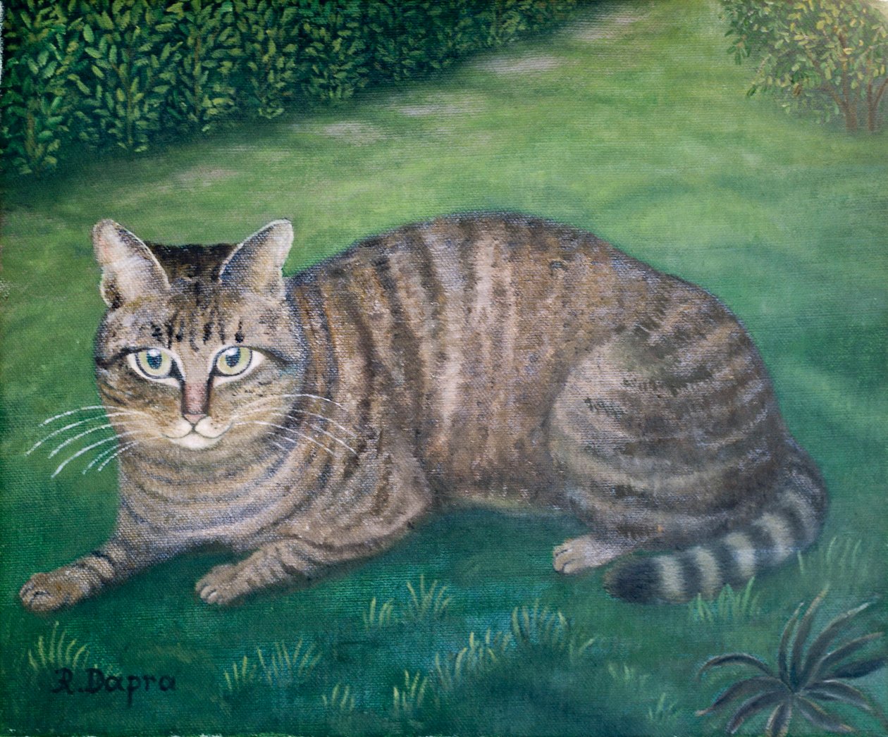 Die Katze Julia von Regine Dapra