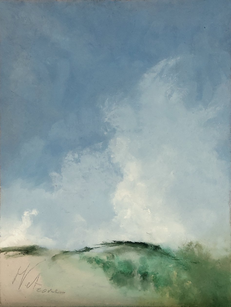 Sumpfiger Ort von M. Vet