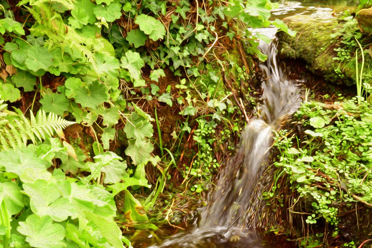 Natur Landschaft von Albert Mansour