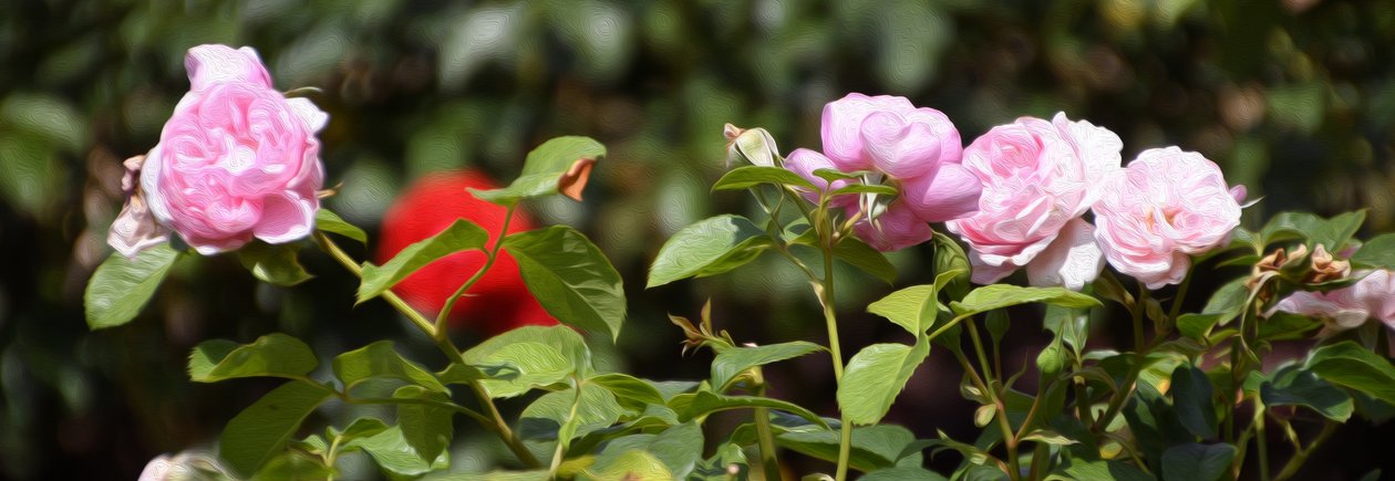 Florale Kunst von Albert Mansour
