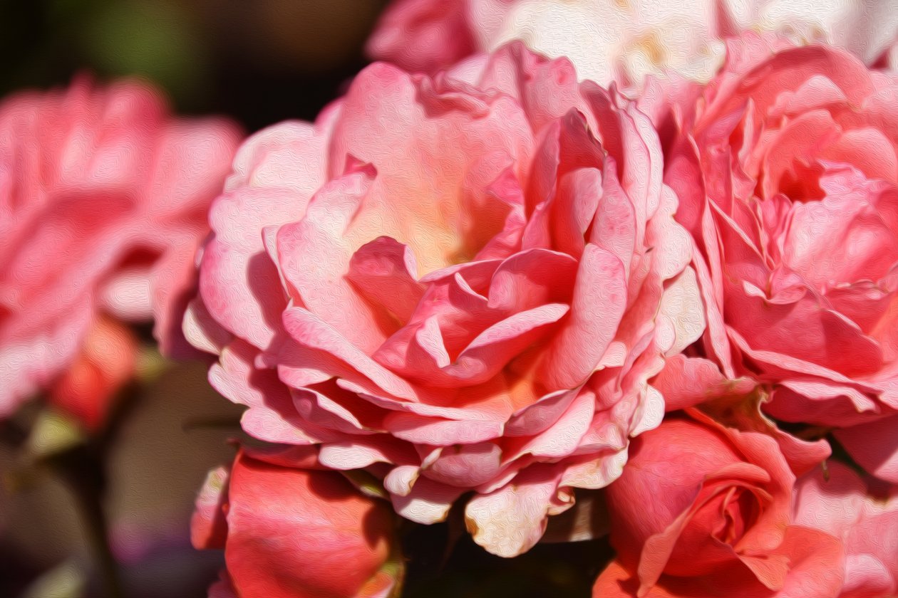 Florale Kunst von Albert Mansour