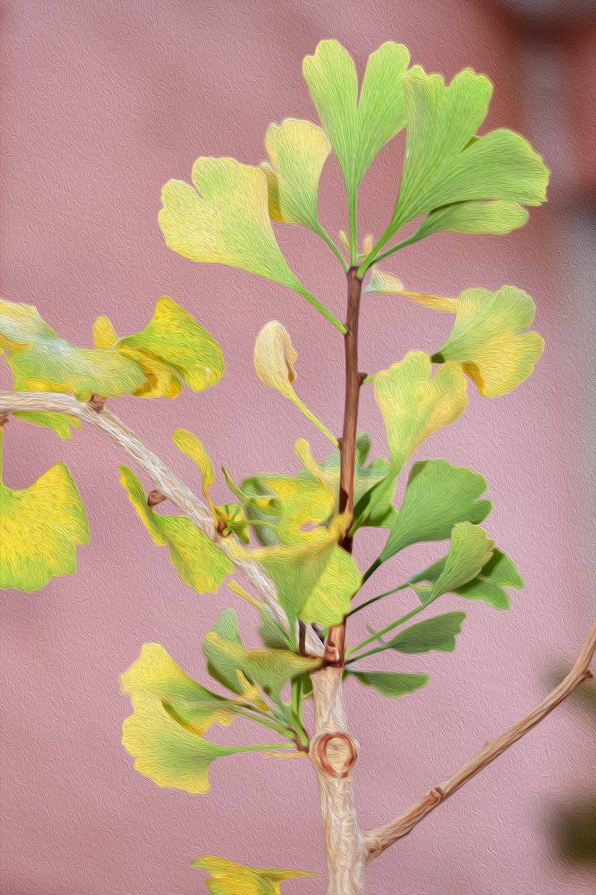 Blumenbild in Ölmalerei-Stil von Albert Mansour