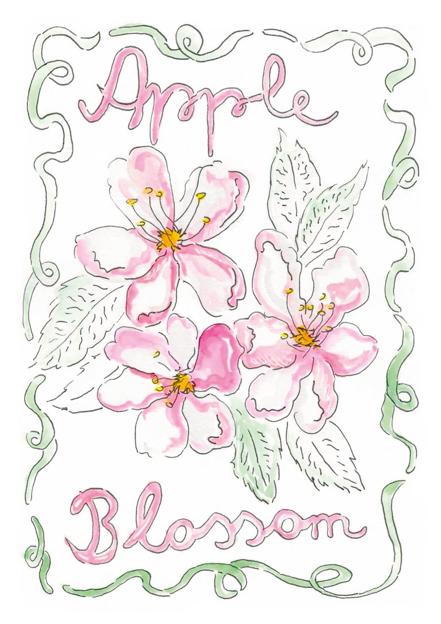 Apfelblüte von june art
