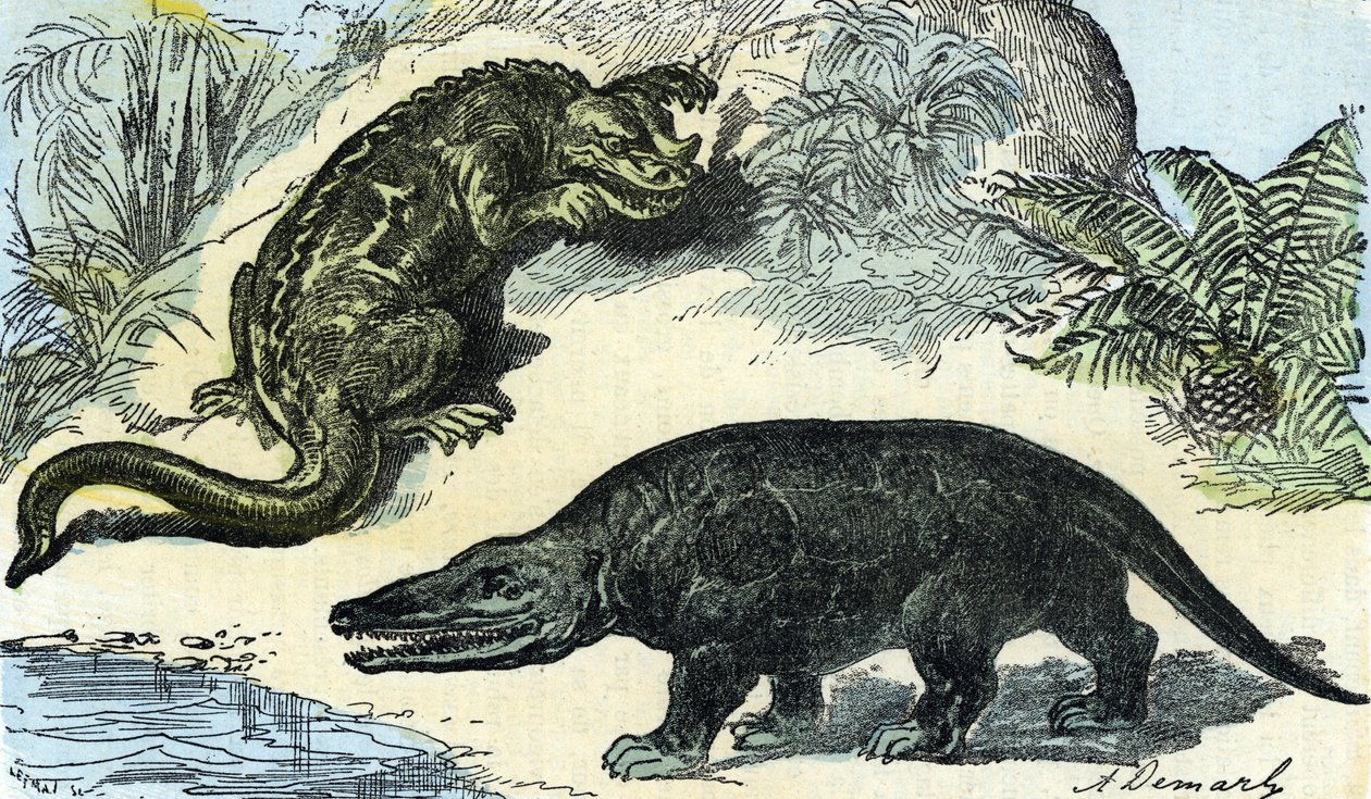 Urgeschichte: Darstellung eines Iguanodon und Megalosaurier aus der Kreidezeit von A. Demarle