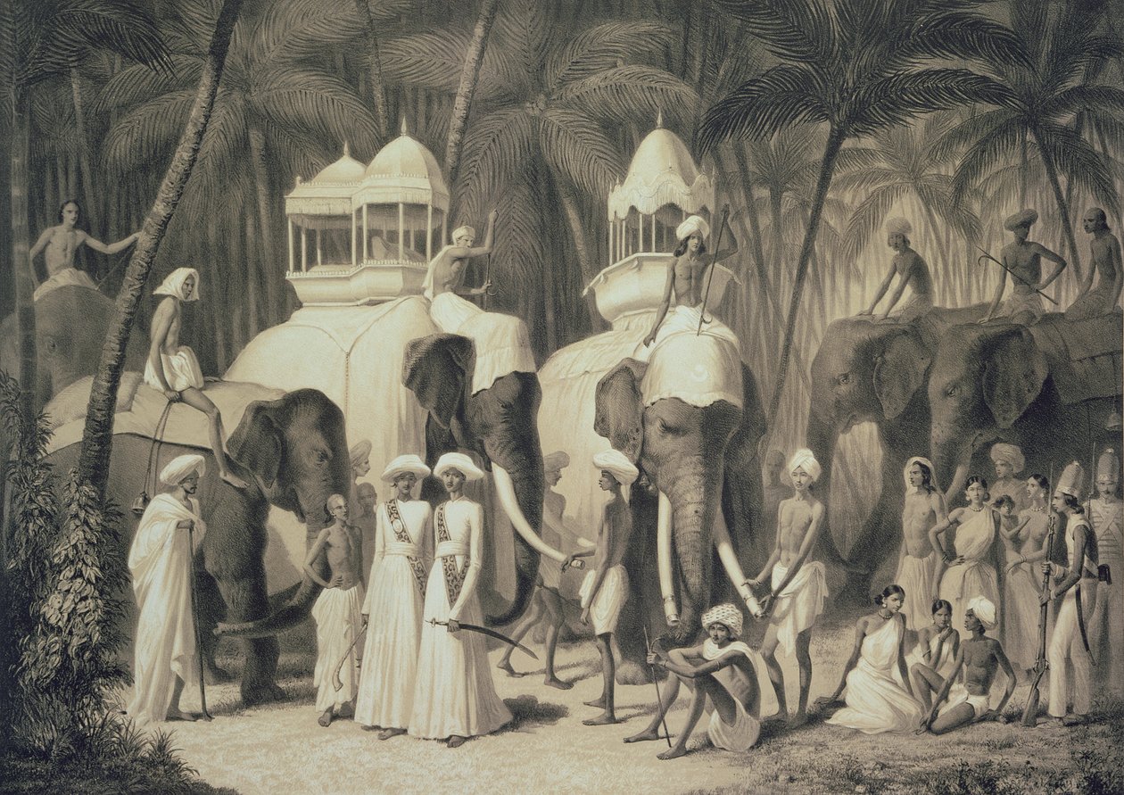 Elefanten des Raja von Travandrum, aus 