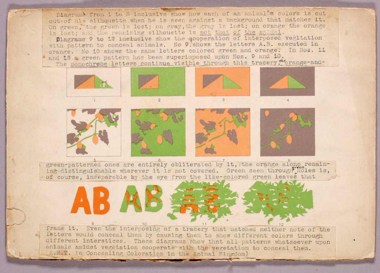Diagramm und Kupferkopfschlange, Studienmappe für das Buch Concealing Coloration in the Animal Kingdom von Abbott Handerson Thayer