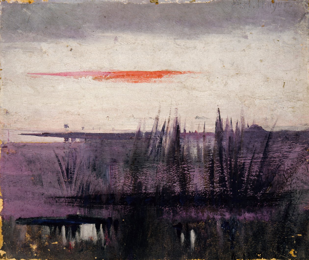 Der Himmel simuliert durch weiße Flamingos, Studie für ein Buch..., im Tierreich, ca. 1905-1909 von Abbott Handerson Thayer