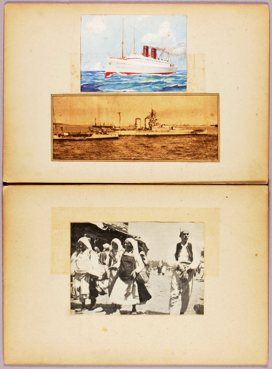 Weiß gegen Himmel - Araber, Studienmappe für das Buch Concealing Coloration in the Animal Kingdom von Abbott Handerson Thayer