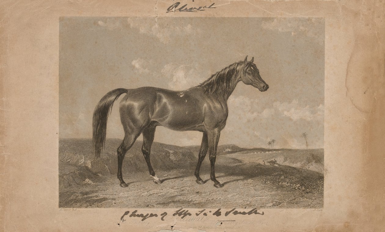 Aliwal, das Eigentum von Sir Harry Smith, Bart (Lithographie) von Abraham (after) Cooper