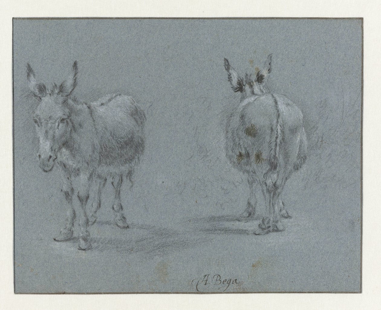 Zwei Studien eines Esels, von vorne und hinten gesehen von Abraham Jansz Begeyn