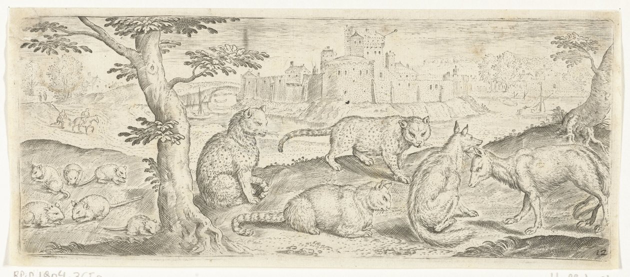 Ratten, Katzen und Füchse (Tiere) von Abraham de Bruyn (possibly)