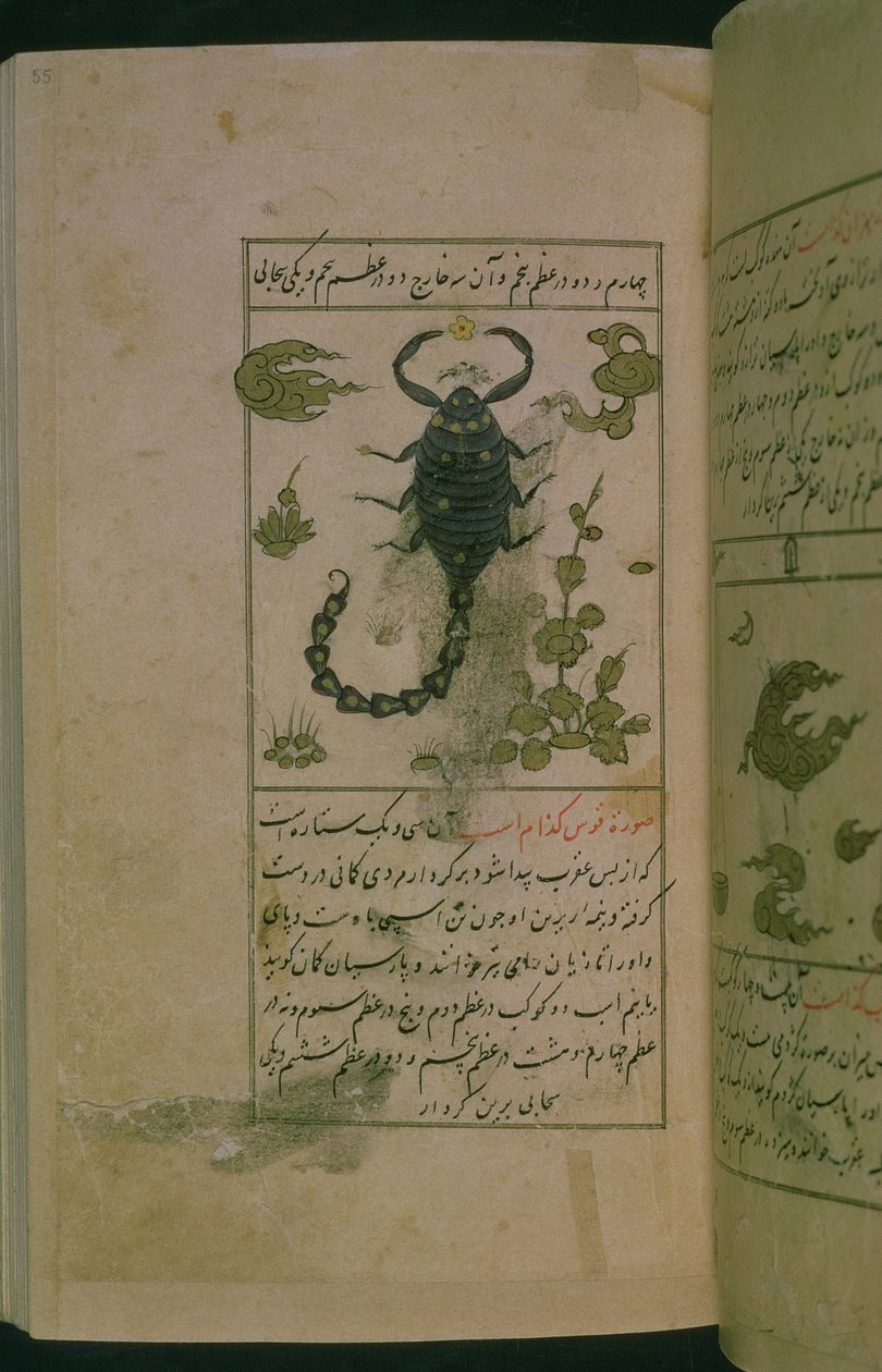 Sternbilder des Tierkreises: Skorpion, der Skorpion, aus Talim dar marifat i taqvuim, 1498 (903 Hijra) von Abu Jafar al Tabari
