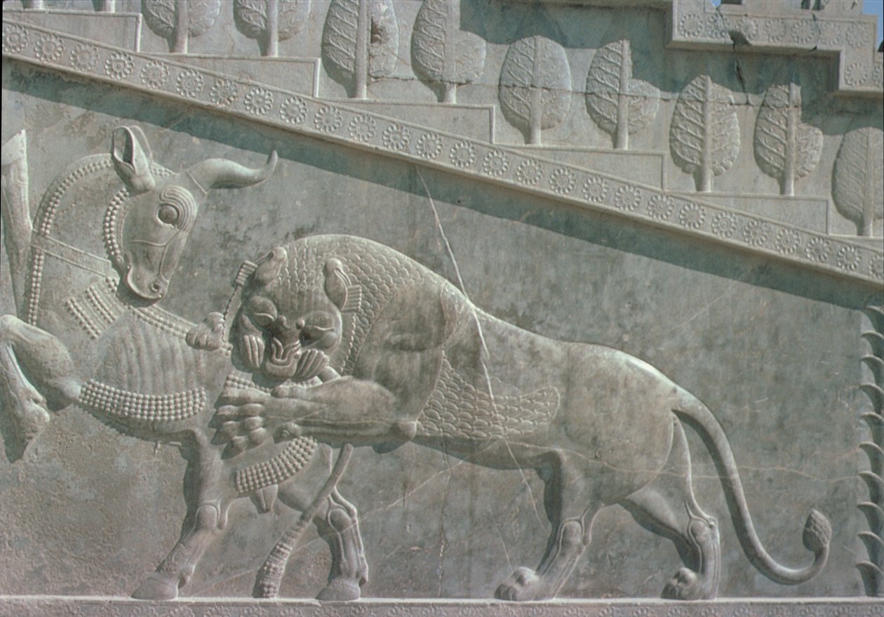 Relief auf der Osttreppe der Apadana, das einen Löwen im Kampf mit einem Stier zeigt, Achämenidenzeit, ca. 515 v. Chr. von Achaemenid