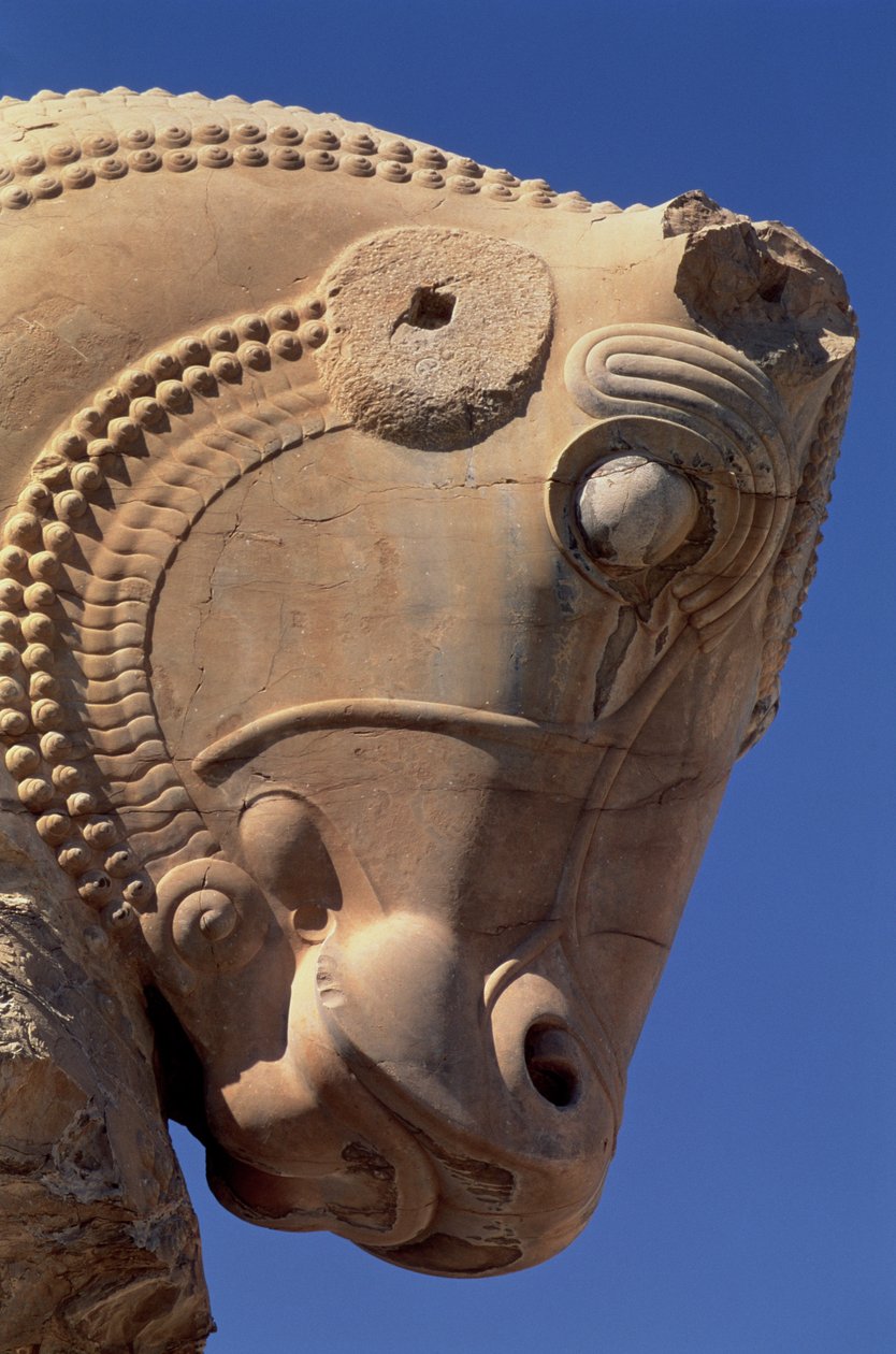 Stierkopf am nördlichen Portikus der Thronhalle von Xerxes von Achaemenid