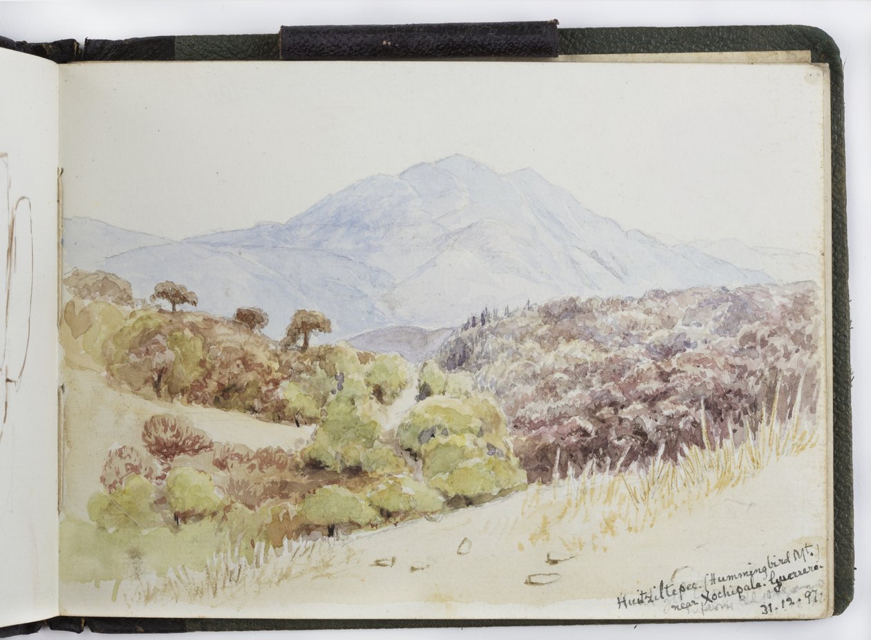 Skizzenbuch mit Aquarellen, Zeichnungen und Notizen, Mexiko, 1896-1898 von Adela Breton