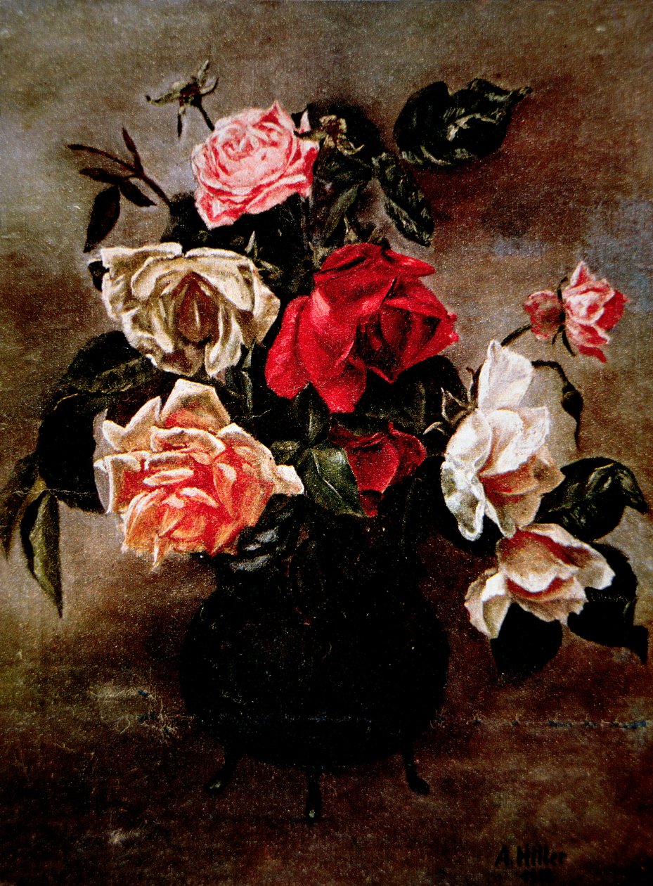 Rosen von Adolf Hitler