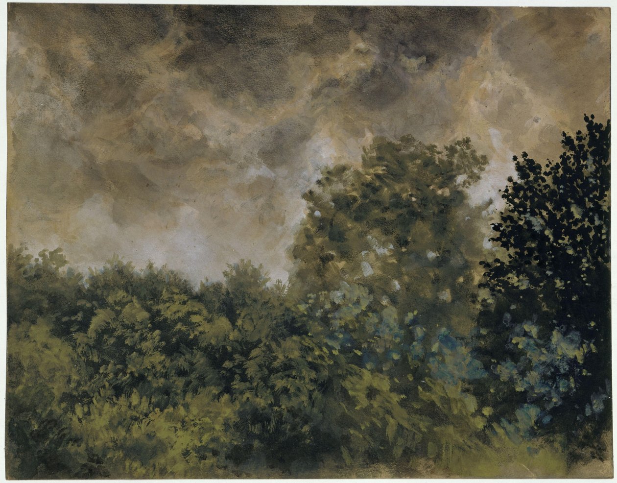 Blick auf Laubgehölz von Adolph Menzel