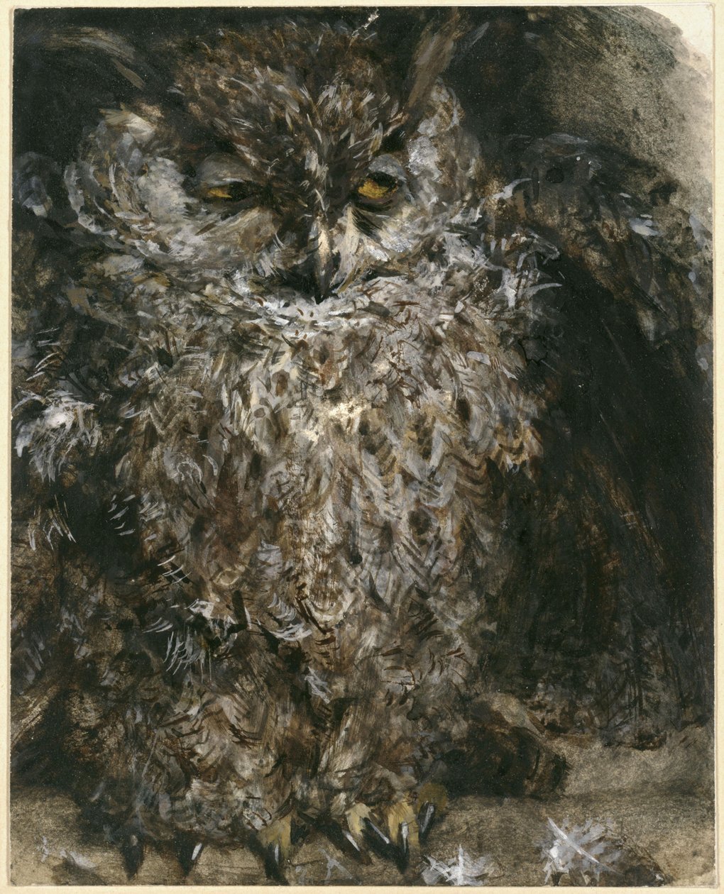 Die Ohreneule. Aus dem "Kinderalbum" von Adolph Menzel