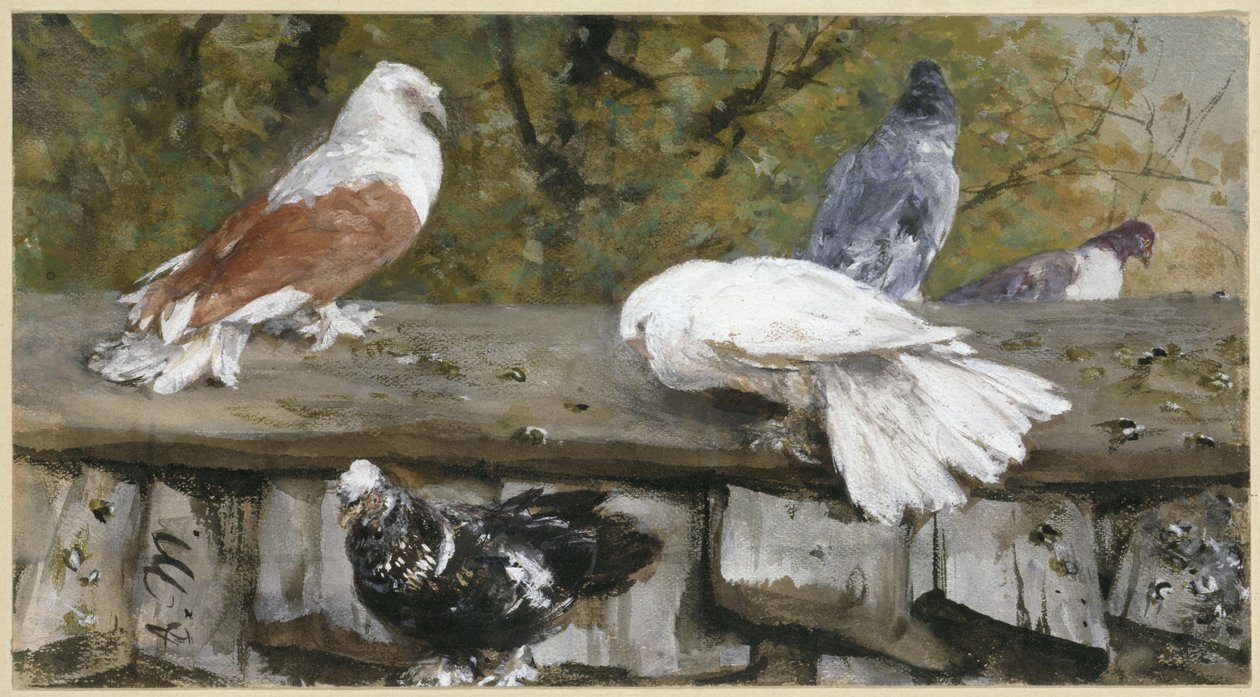 Tauben auf einem Holzdach. Aus dem "Kinderalbum" von Adolph Menzel