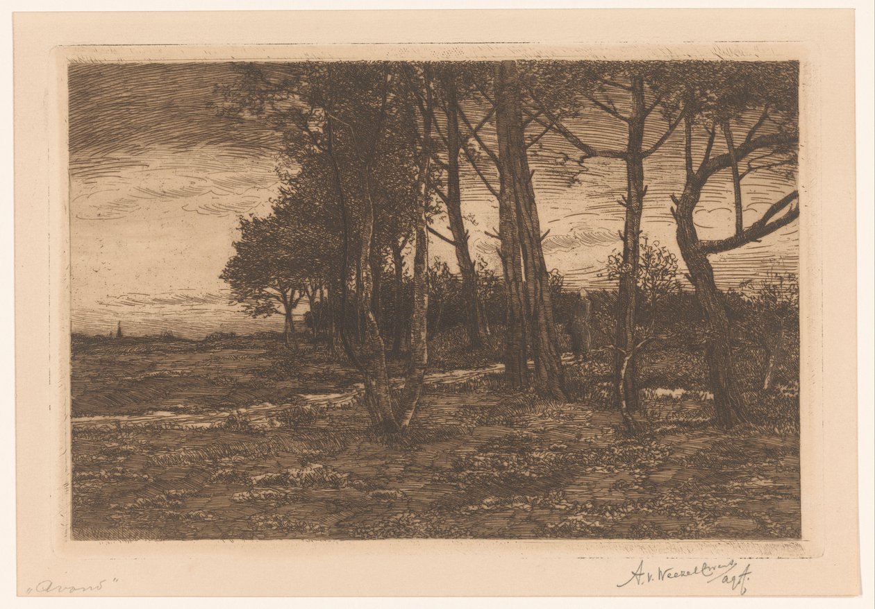 Landschaft mit Bäumen von Adolphe P.H J. van Weezel Errens (signed by artist)