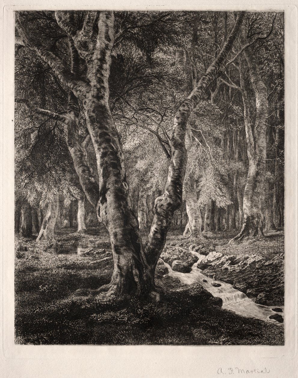 Wald von Pierrefonds von Adolphe Théodore Jules Martial Potémont