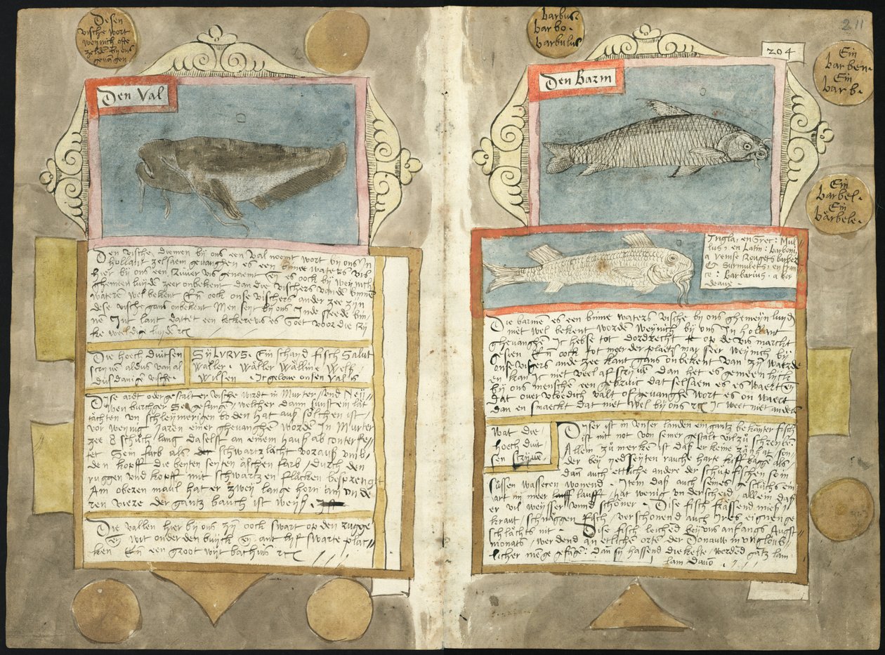 Adriaen Coenens Visboeck - KB 78 E 54 - Folios 210v (links) und 211r (rechts) von Adriaen Coenen