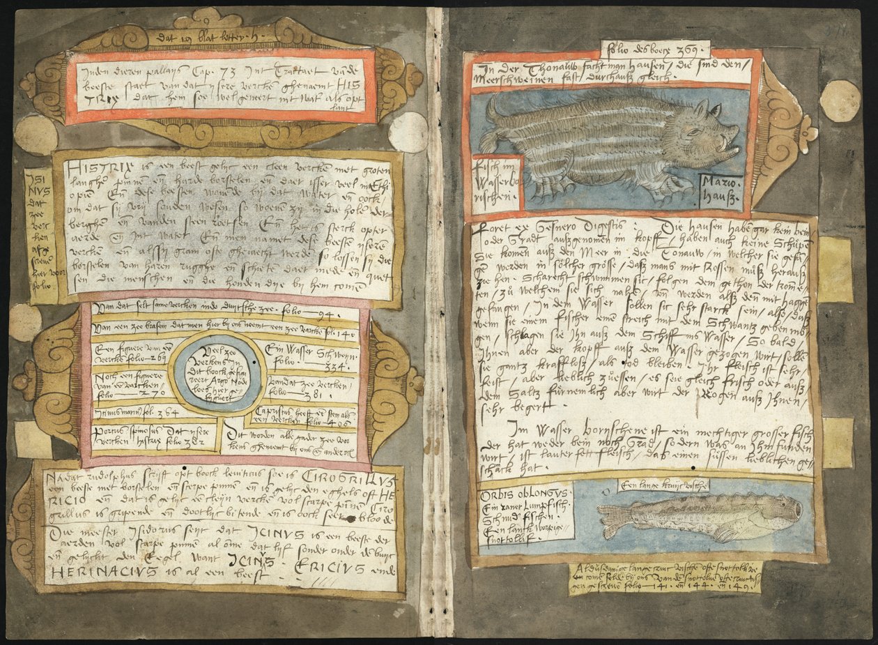 Adriaen Coenens Visboeck - KB 78 E 54 - Folios 370v (links) und 371r (rechts) von Adriaen Coenen
