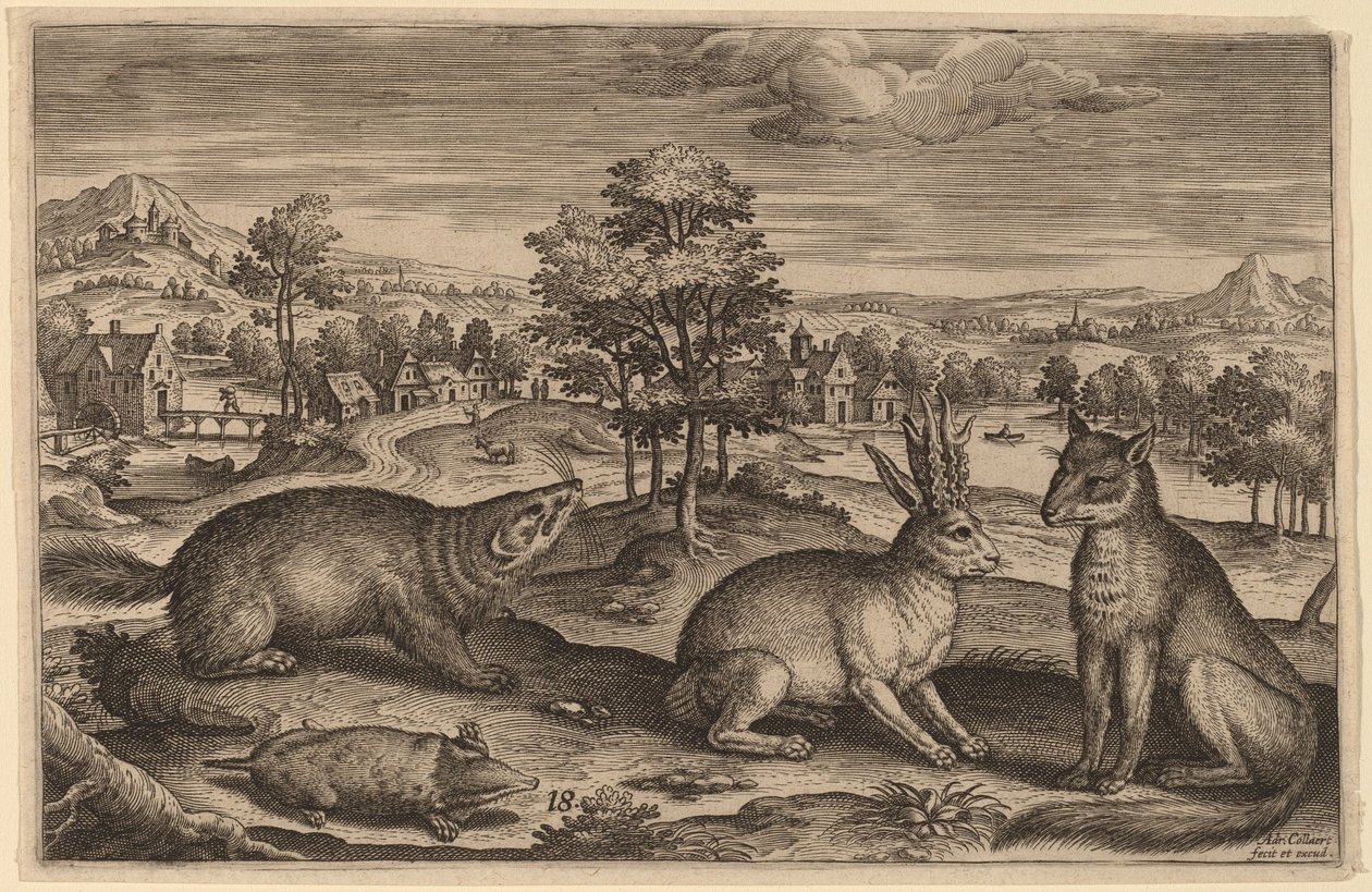 Ein Maulwurf, ein Dachs, ein gehörnter Hase und ein Fuchs von Adriaen Collaert
