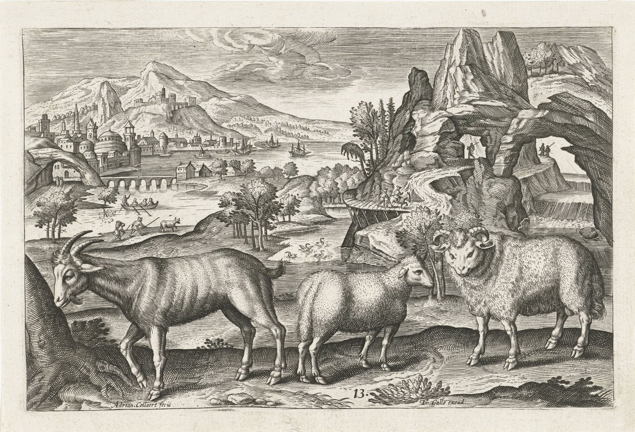 Bock und Schafe (Vierbeinige Tiere, Serie) von Adriaen Collaert