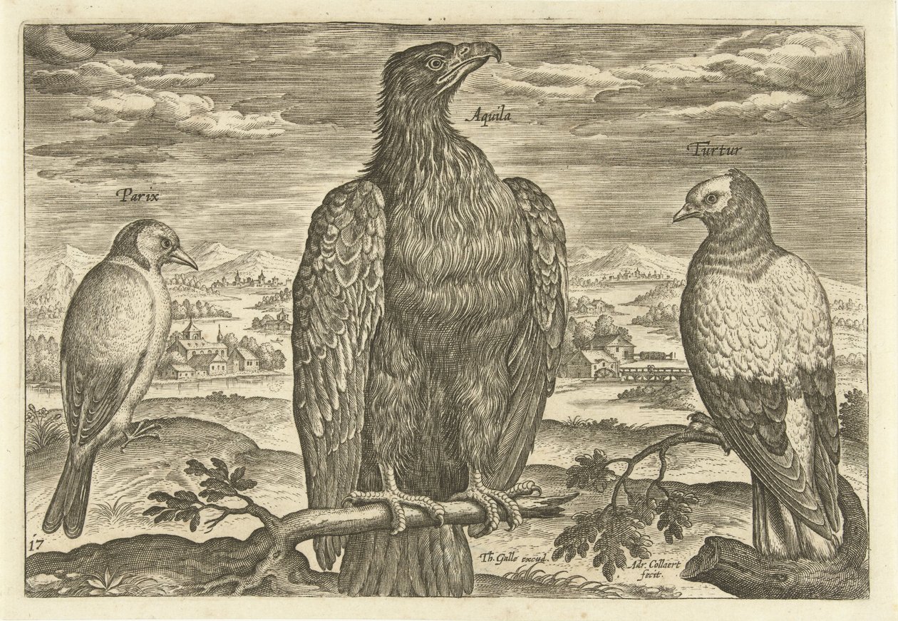 Drei Vögel in einer Landschaft von Adriaen Collaert