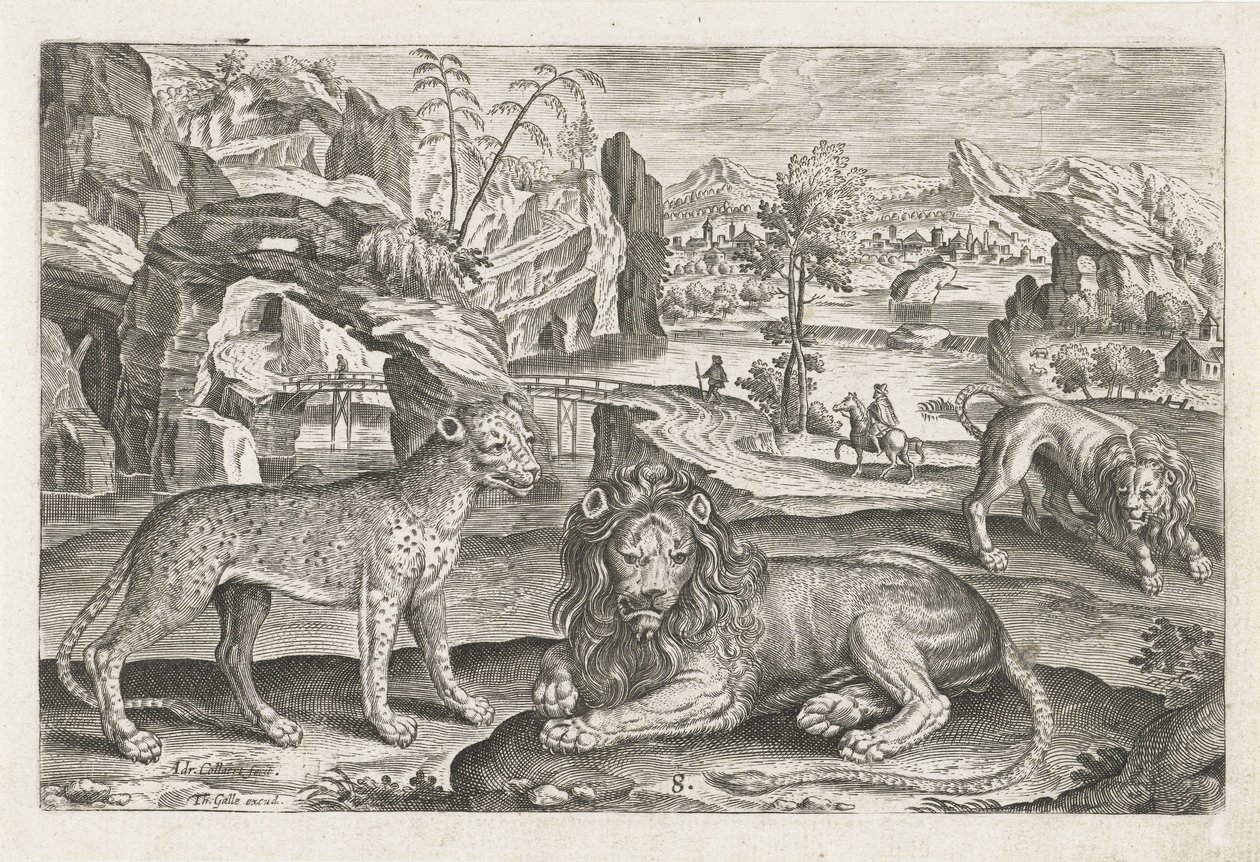 Löwen und Leopard (Serie: Vierpotige dieren, Animalivm Qvaddrvpedvm) von Adriaen Collaert