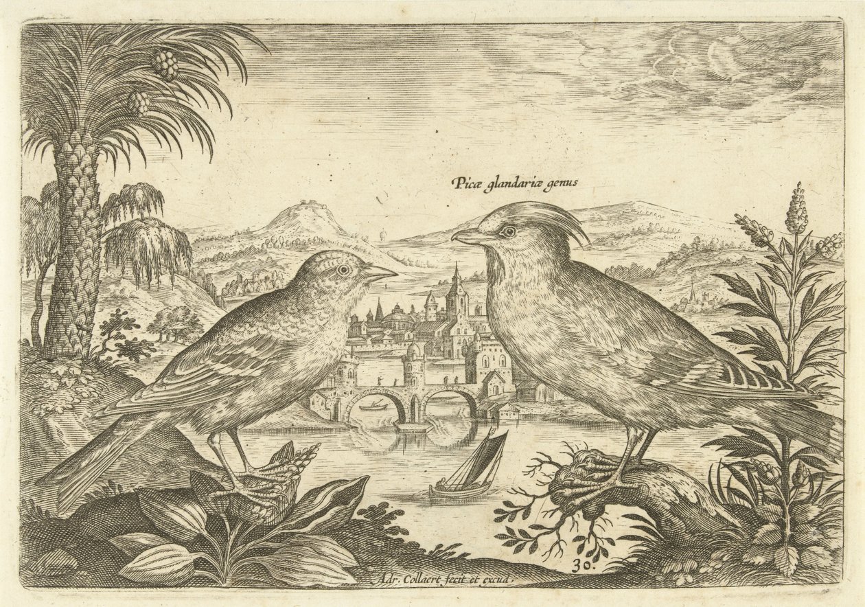 Zwei Vögel in einer Landschaft von Adriaen Collaert