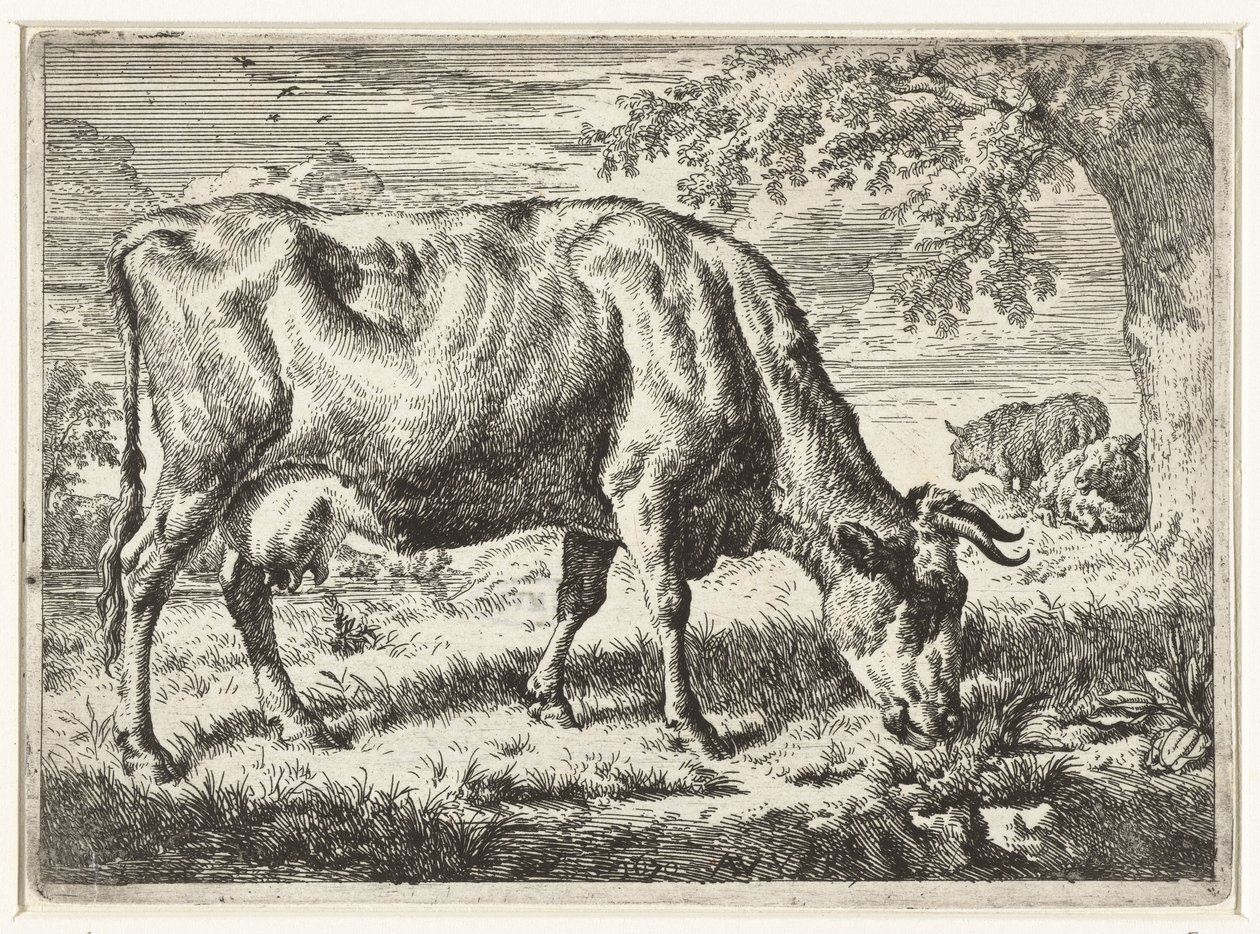 Weidende Kuh und zwei Schafe von Adriaen van de Velde