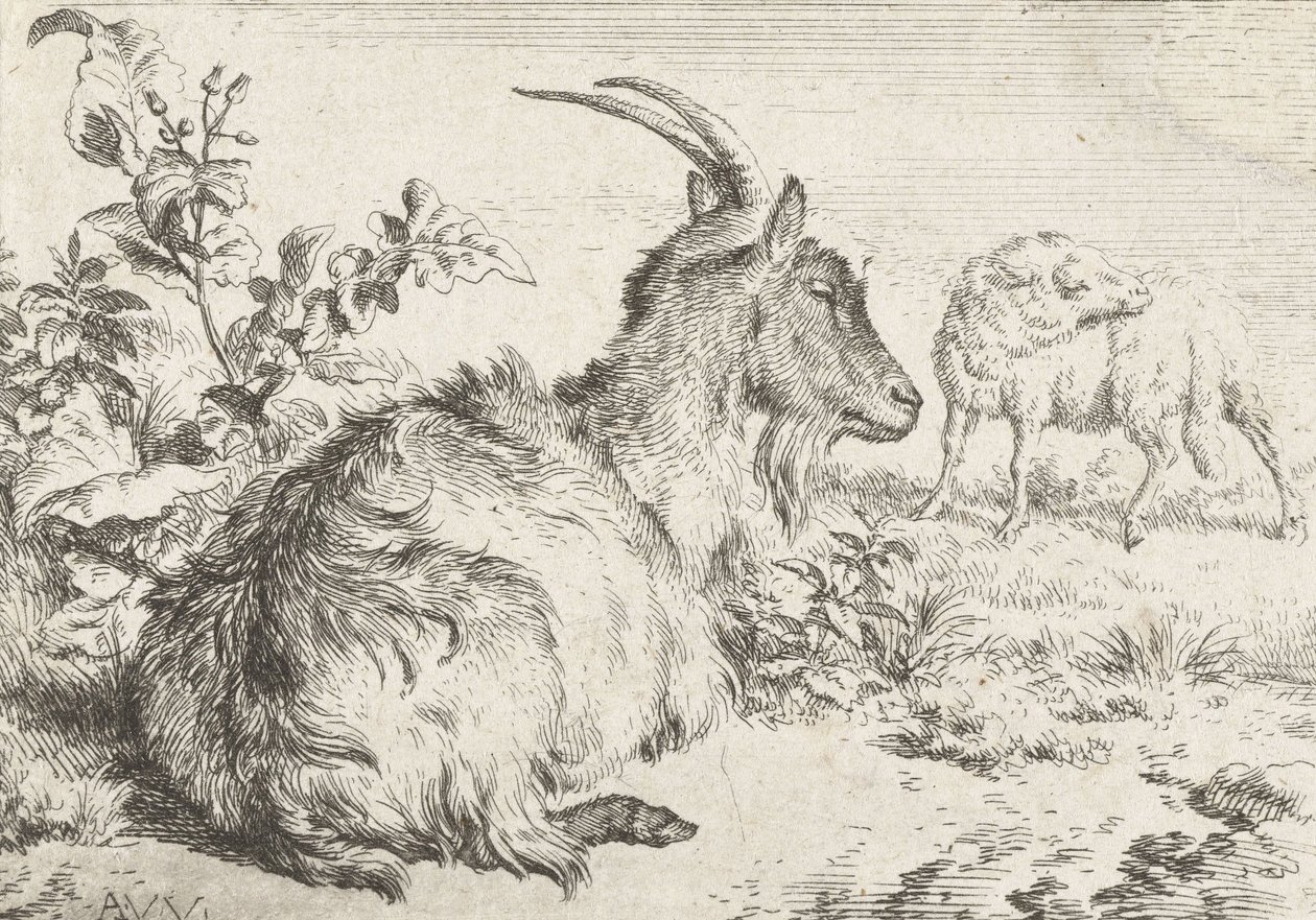 Liegende Ziege, 1670 von Adriaen van de Velde